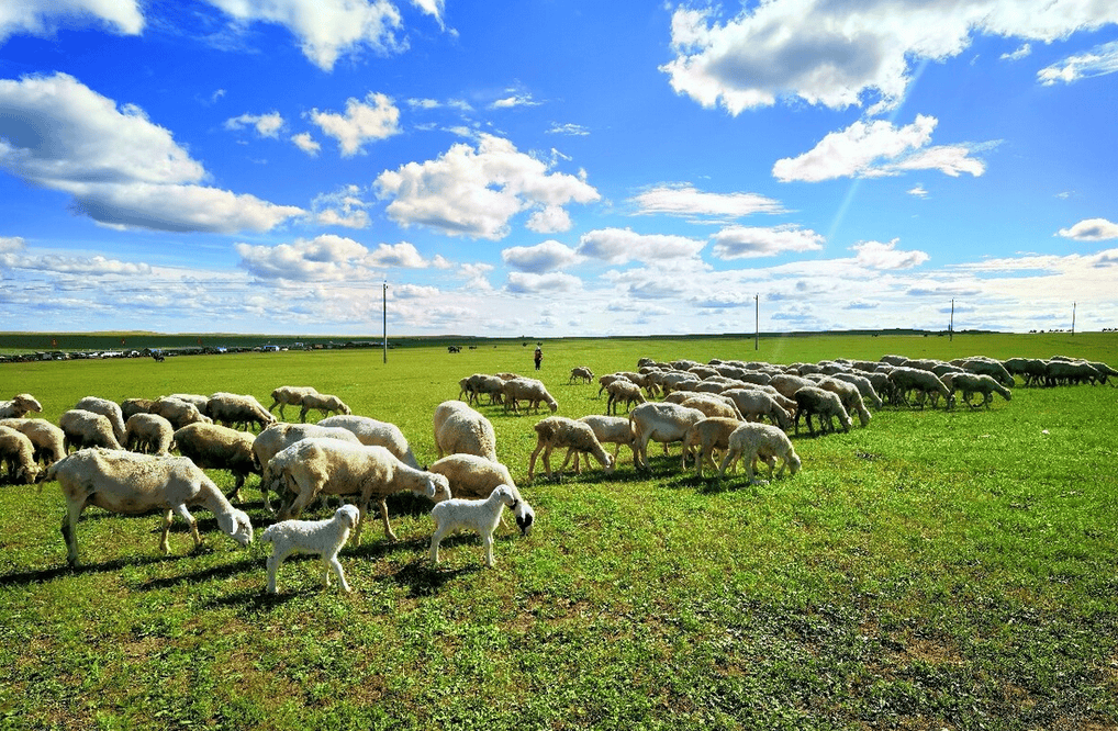 樂林丨讓每個人，樂享品質涮烤生活
